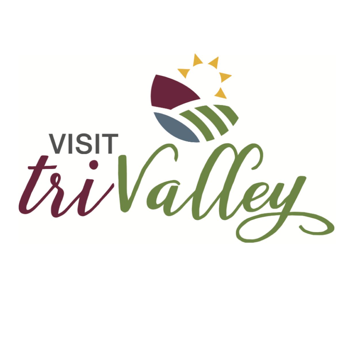 Input Sought on Visit Tri-Valley’s Five Year Destination Strategic Plan